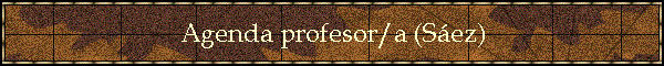 Agenda profesor/a (Sez)