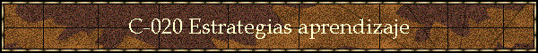 C-020 Estrategias aprendizaje